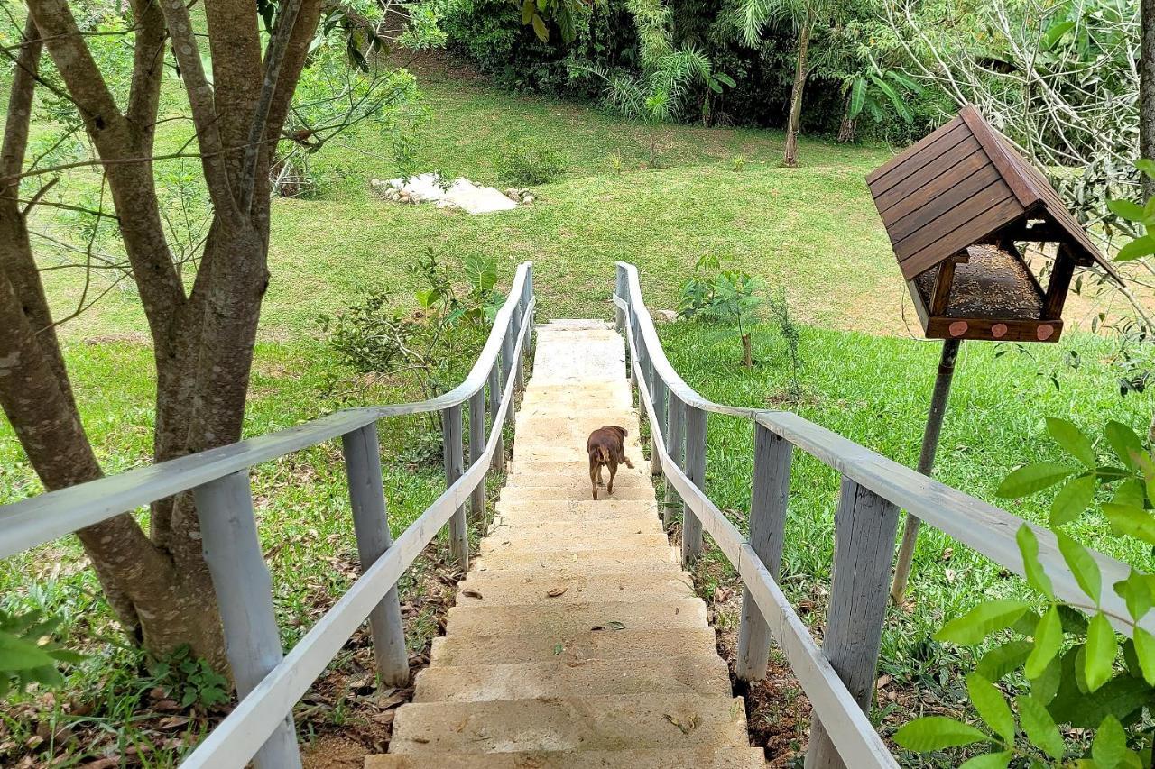 Vila Chalé imerso na Natureza! Sao Bonifacio Exteriér fotografie